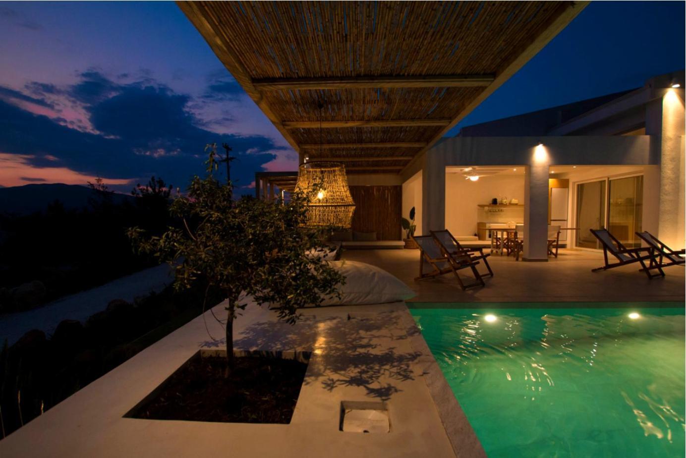 Aristotelia Gi - Premium Luxury Villas With Private Pools Olympiada Exterior photo